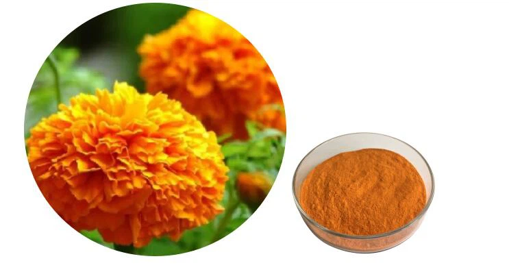 Zeaxanthin Powder