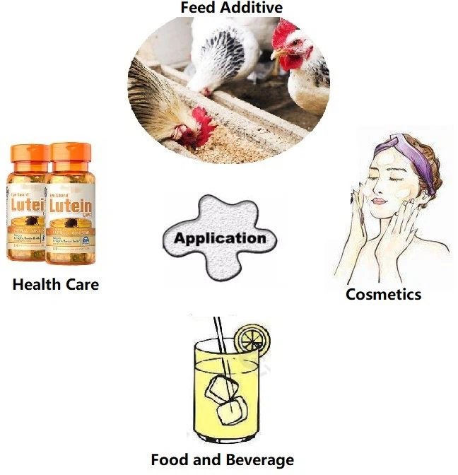 Lutein powder applications