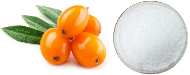 Sea Buckthorn Oil Powder