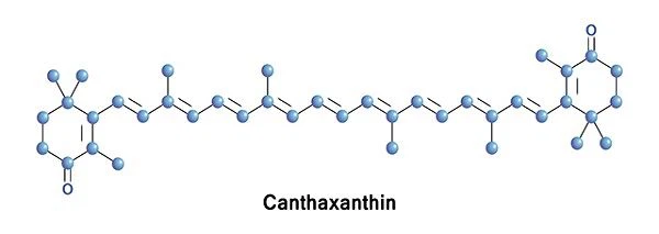 Canthaxanthin powder