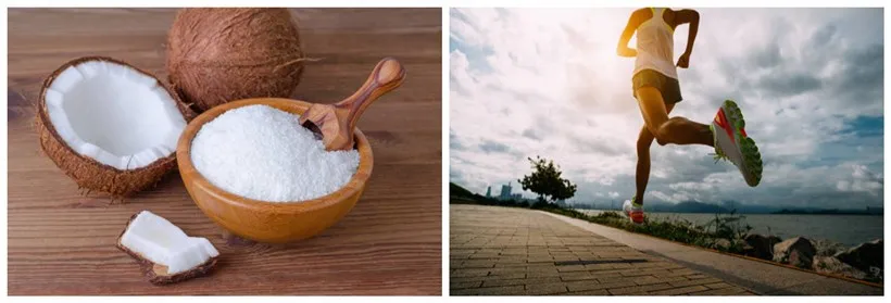 coconut MCT powder & sport coconut MCT powder & sport