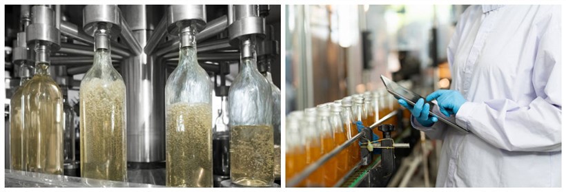 The process of fermenting MACA The process of fermenting MACA