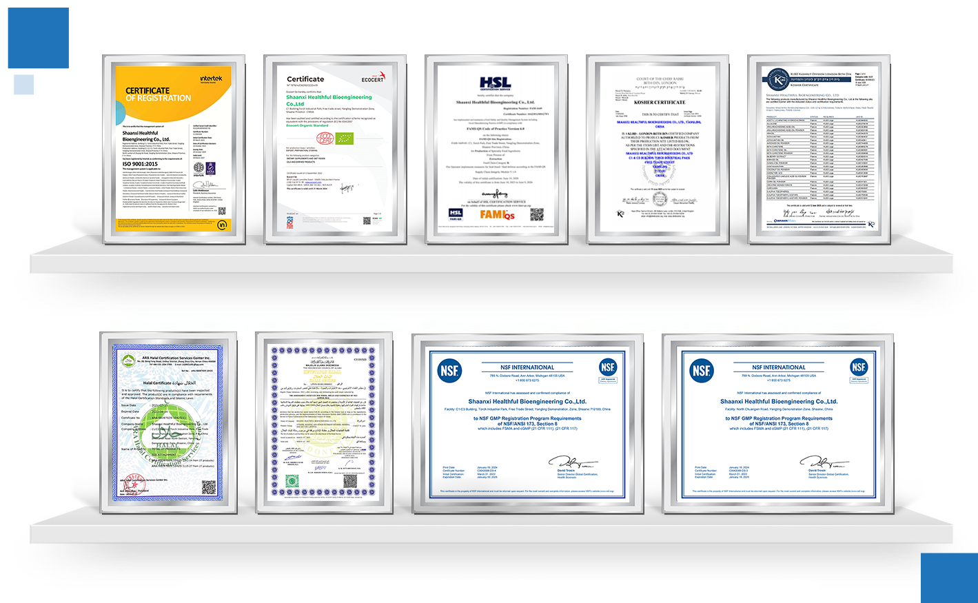 certificate certificate