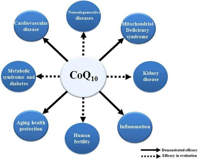 Coenzyme-Q10-USP