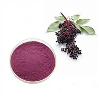 Ekstrakt bazge u prahu